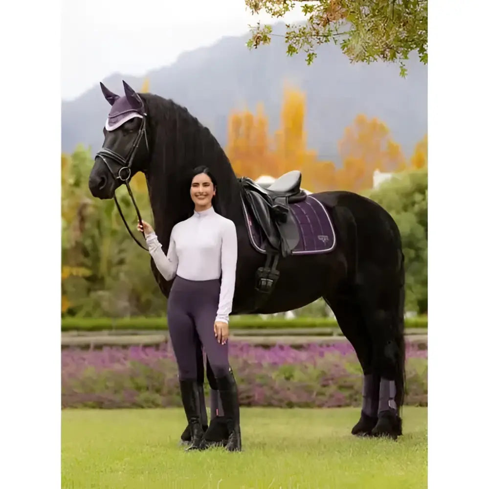 Black horse wearing lemieux loire classic purple and black bridle with matching dressage square juniper leg wraps