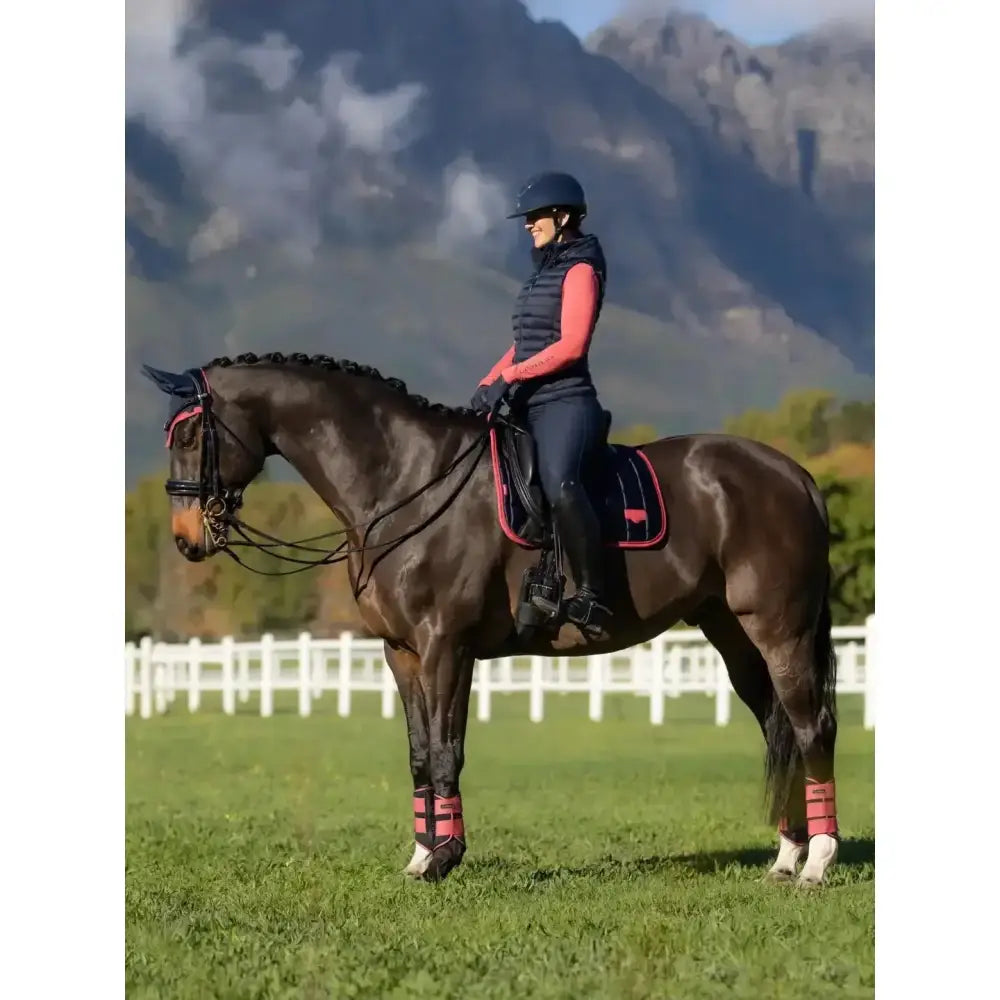 Black horse wearing lemieux loire classic dressage square navy cranberry saddle pad with pink and black leg wraps