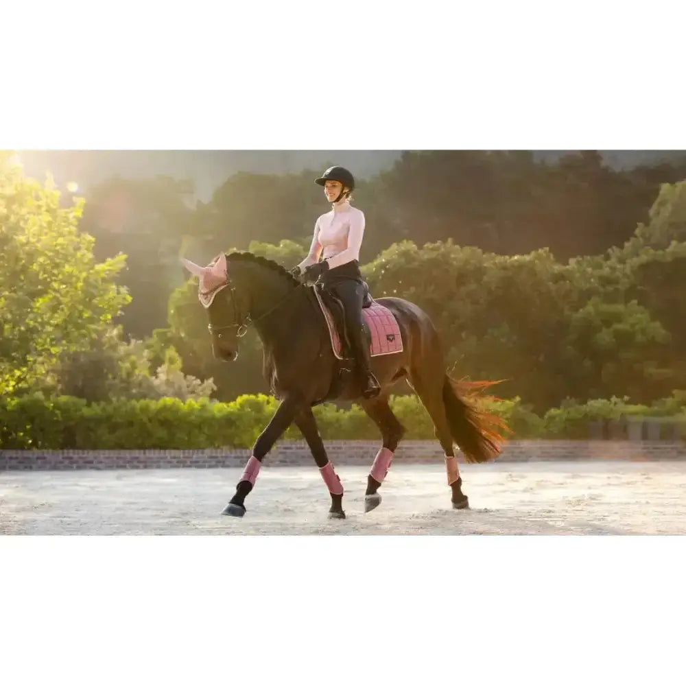 A sleek black horse wearing lemieux loire classic dressage square peony pink saddle pad and matching leg wraps