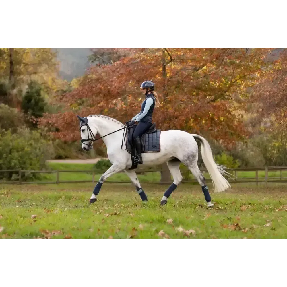 Lemieux Loire Classic Dressage Square Petrol Small/Medium Petrol Dressage Saddle Pads