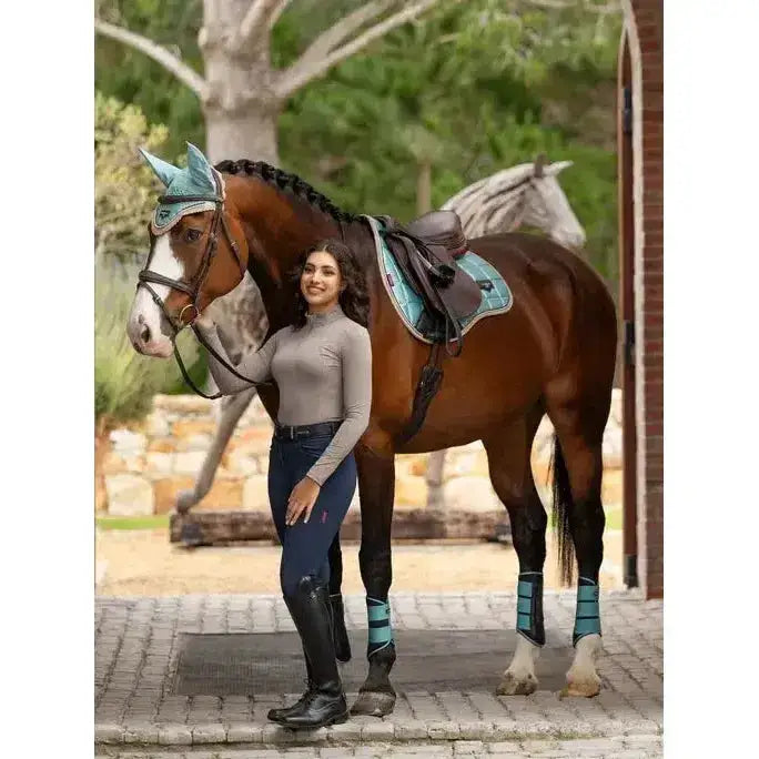 A brown horse wearing lemieux loire classic gp square aqua teal and black riding gear including bridle and leg wraps
