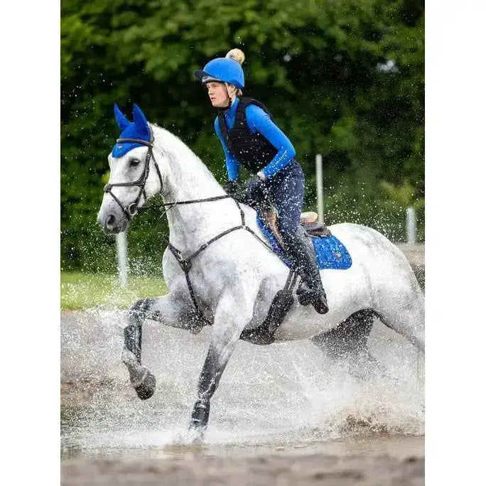A white horse with blue lemieux loire close saddle pad and ear covers ridden by a rider in blue gear