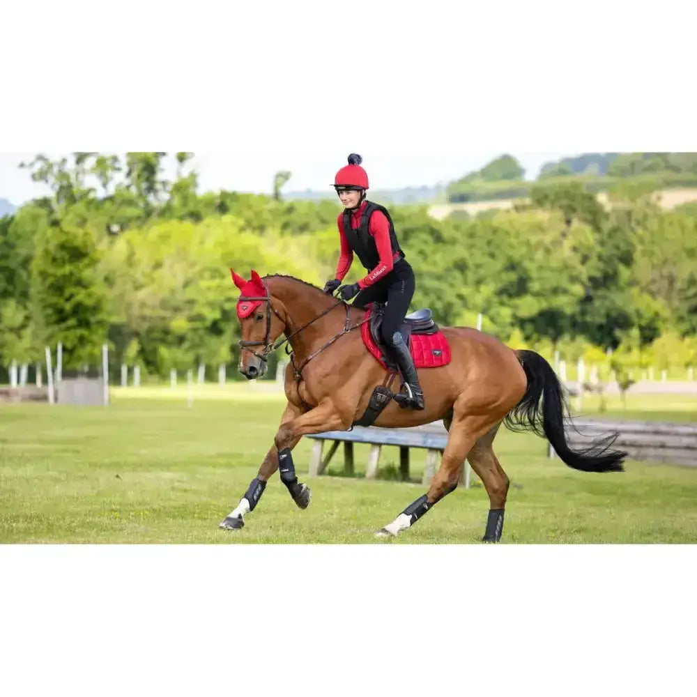 A chestnut horse wears red lemieux loire close contact square chilli protective headgear and black leg wraps