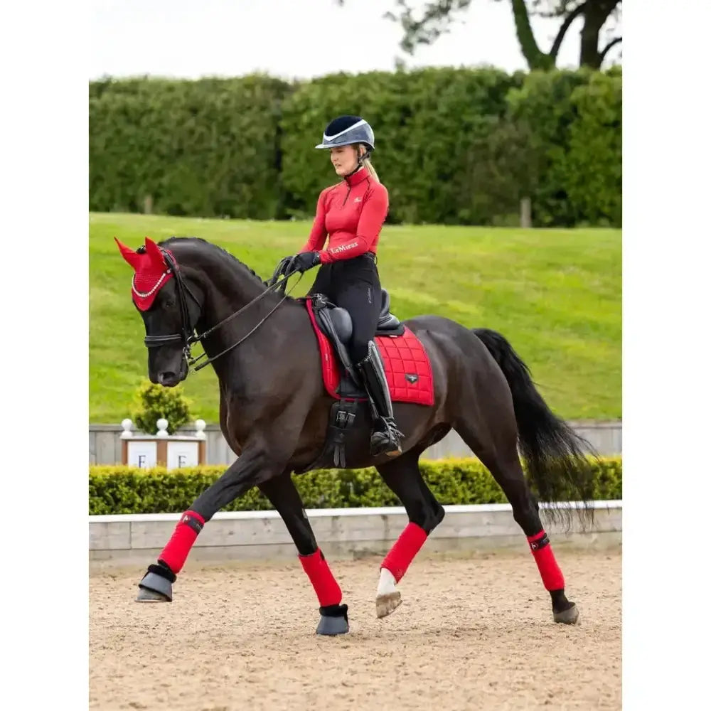 Black horse wearing lemieux loire dressage square chilli stylish red dressage pad and matching protective gear