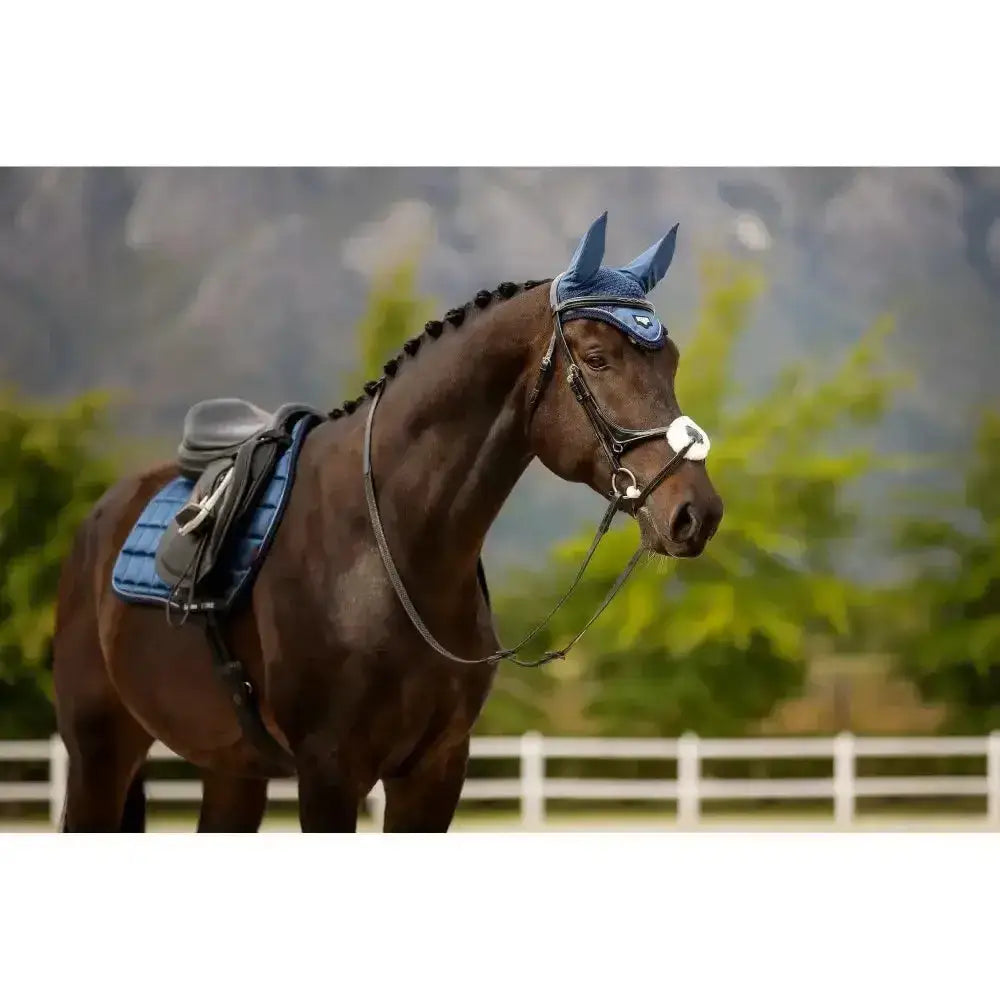 A dark brown horse wearing a blue padded saddle pad and matching lemieux loire fly hood atlantic ear bonnet