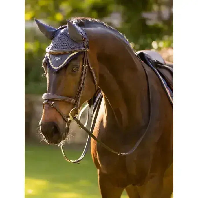 Brown horse wearing navy blue mesh lemieux loire fly hood dusk with silver trim for fly protection