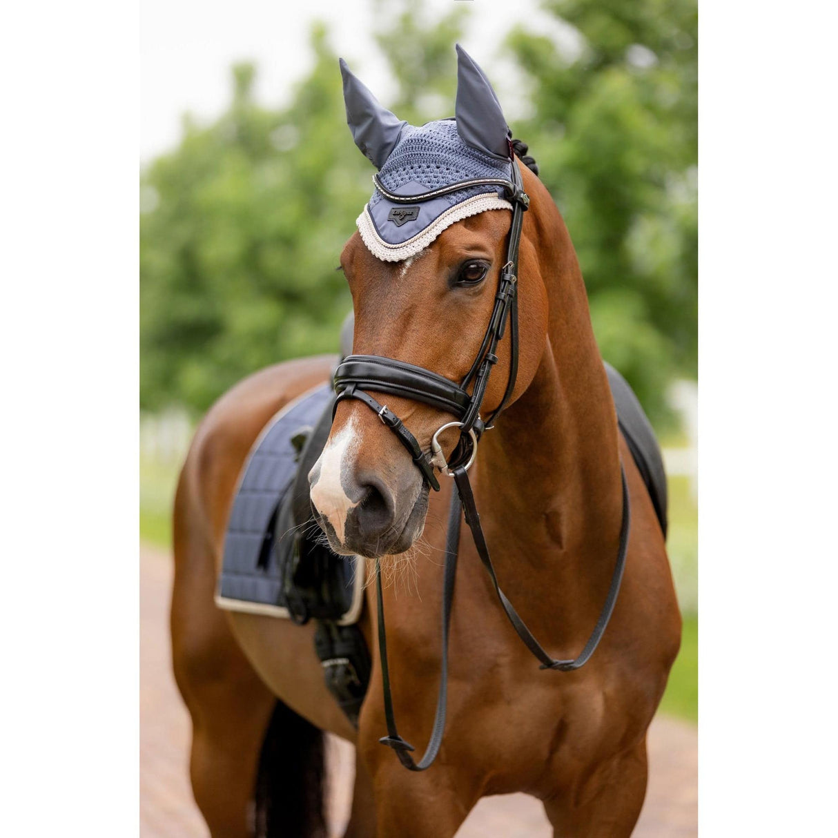 Lemieux Loire Fly Hood Jay Blue Medium LeMieux Horse Ear Bonnets Spring Summer 2024 From Barnstaple Equestrian Supplies