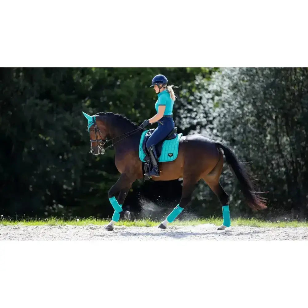 Teal lemieux loire memory dressage square with black trim and small front logo for style and comfort