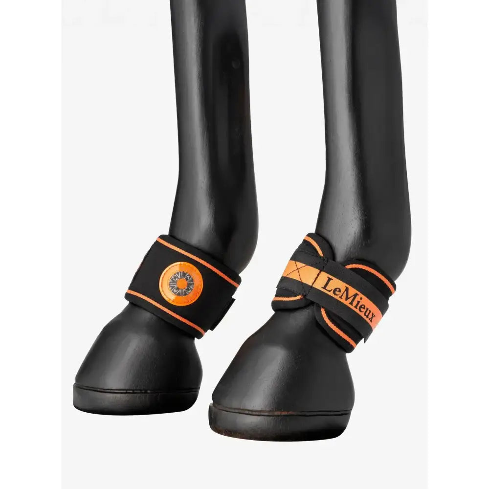 Black lemieux magno pastern close-fitting pastern wrap with orange trim made of soft neoprene pastern material