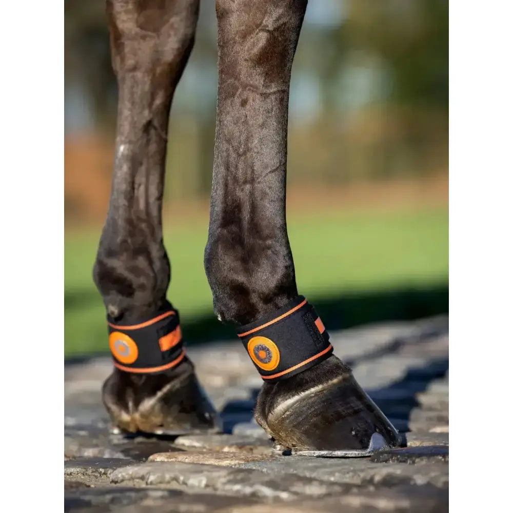 Black and orange lemieux magno pastern soft neoprene pastern wrap with circular logo on the side close-fitting design