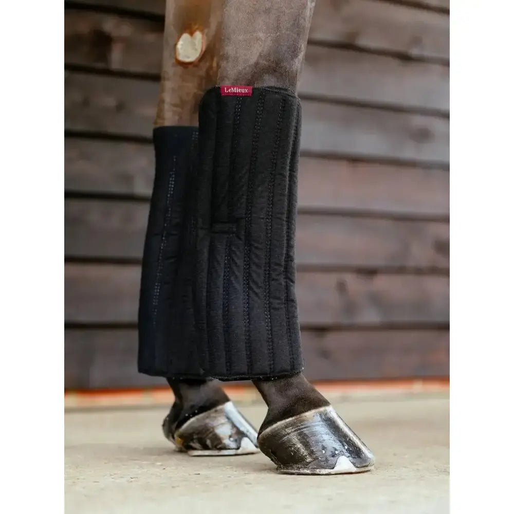 Black lemieux memory foam bandage pads protecting the lower part of a horse’s front leg with quilted design