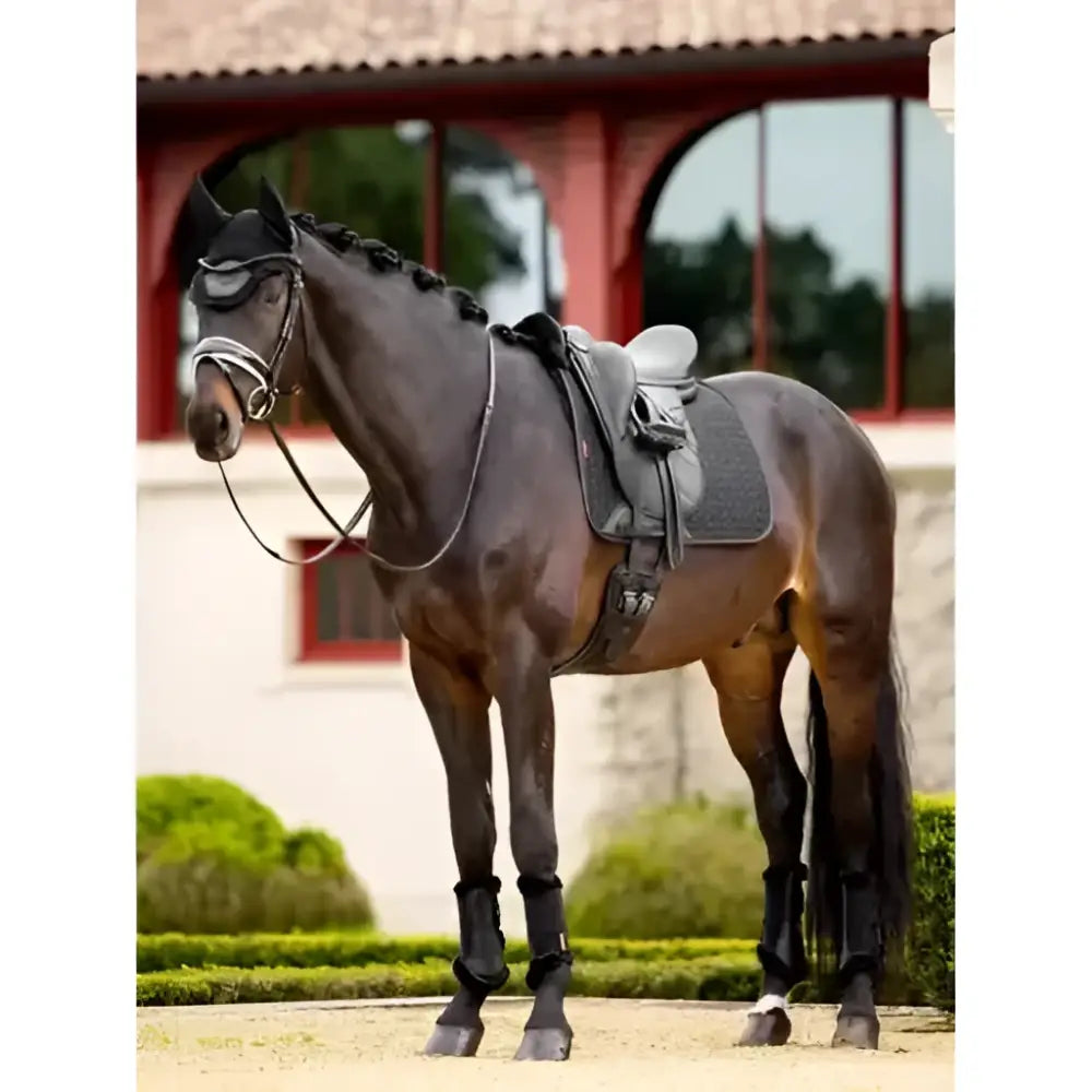 A dark brown horse wearing black lemieux merino+ half lined dressage square with sleek coat and silver bridle