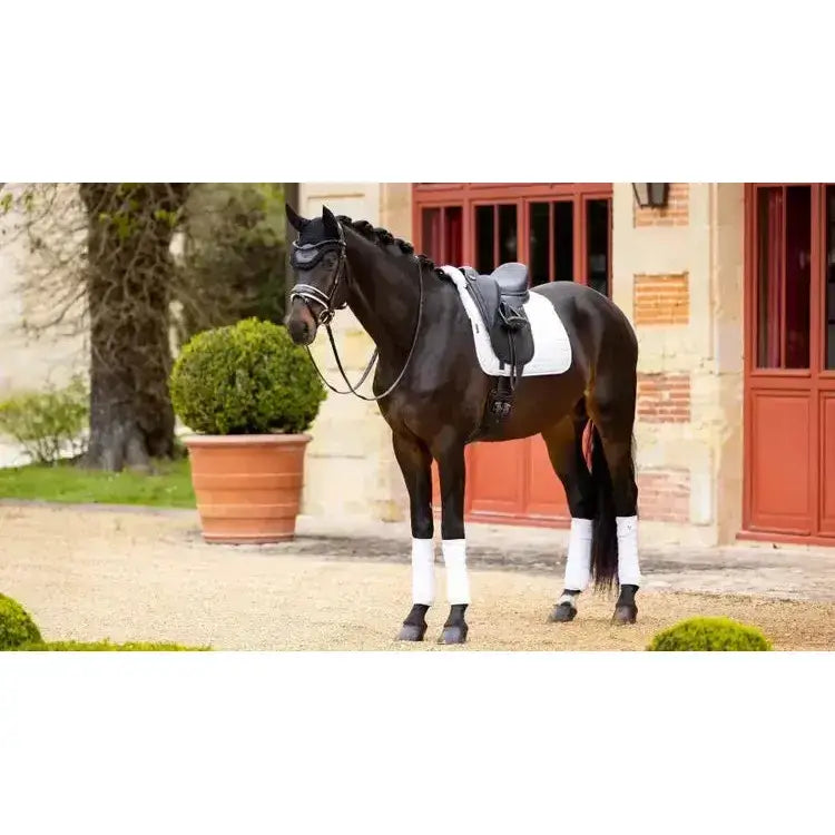 A sleek black horse wearing lemieux merino+ half lined dressage square white standing in front of an elegant building