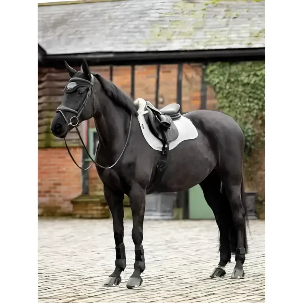 Black horse wearing a lemieux merino+ lightweight cotton square in white and natural in front of an ivy covered stable