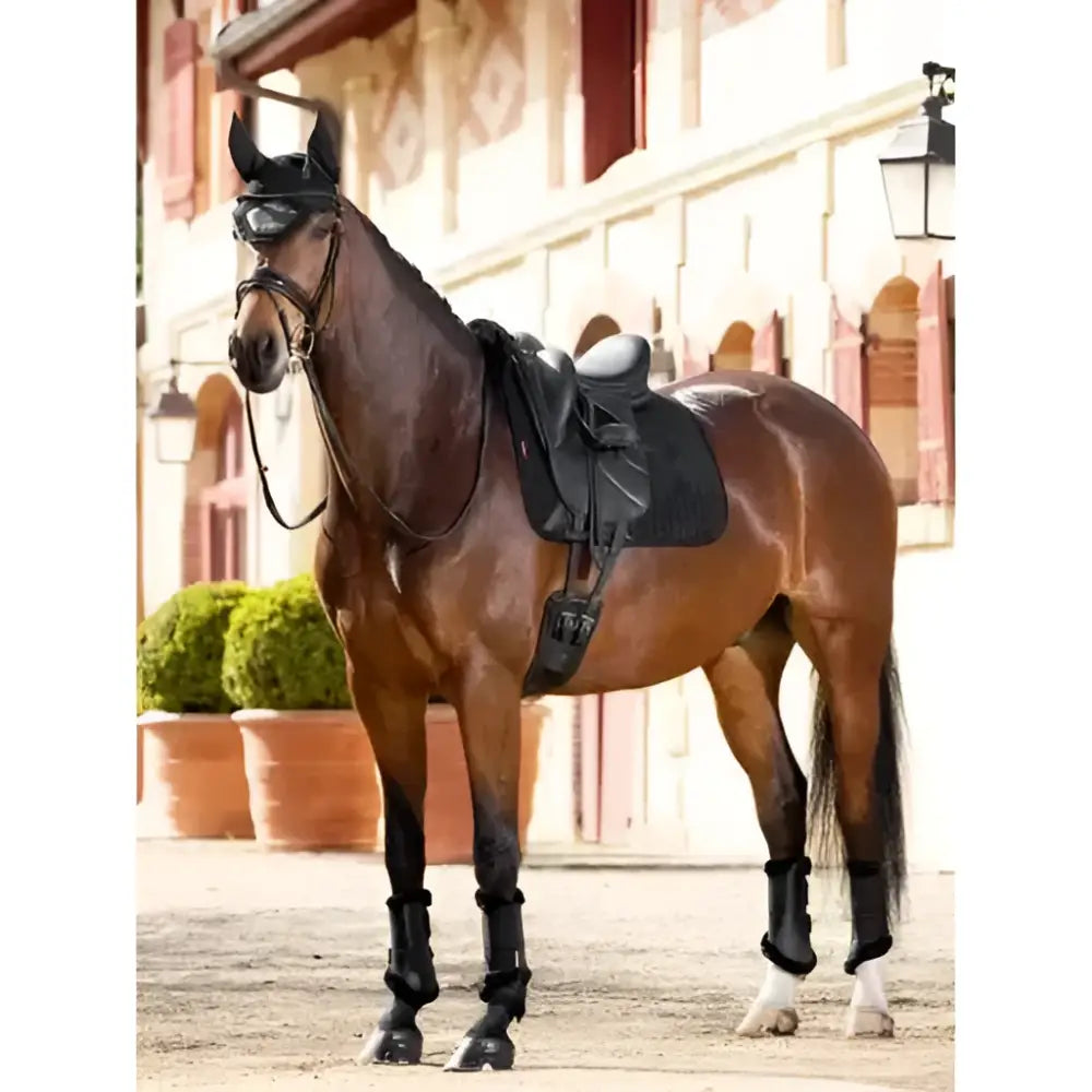 A sleek dark brown horse wearing a lemieux half lined suede dressage square in black with a glossy saddle
