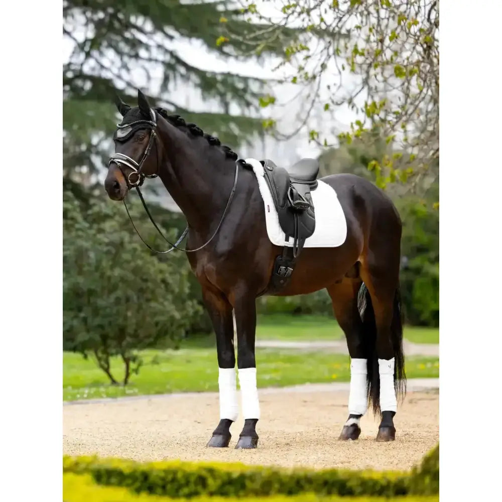 A sleek horse wearing a white lined suede dressage square under a black saddle in an outdoor setting