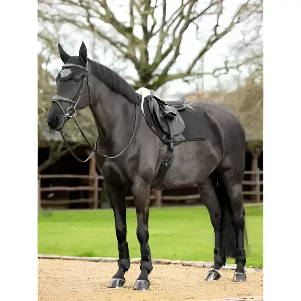 Black horse wearing lemieux merino lined suede eurojump square saddle pad in black natural color with polished hooves