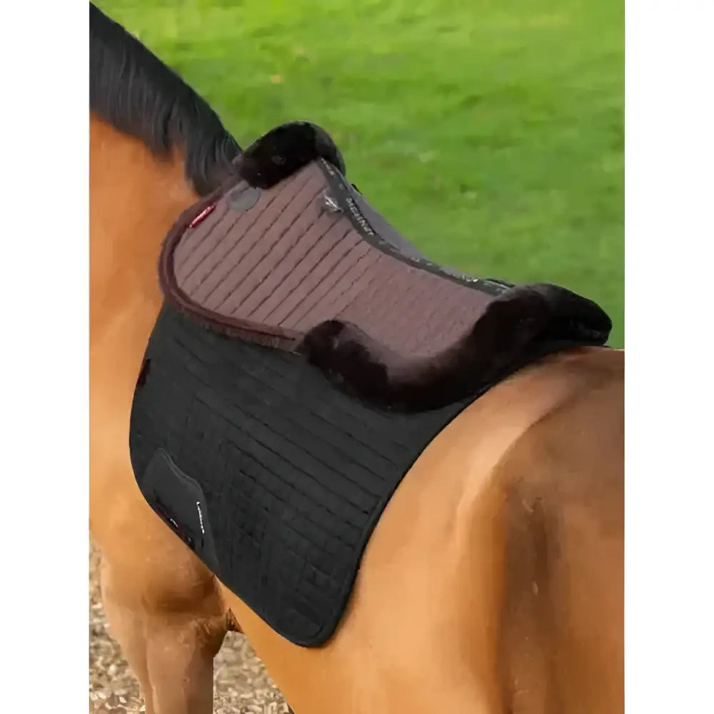 Black and brown lemieux merino+ half pad with plush natural australian merino fur trim high quality half saddle pad