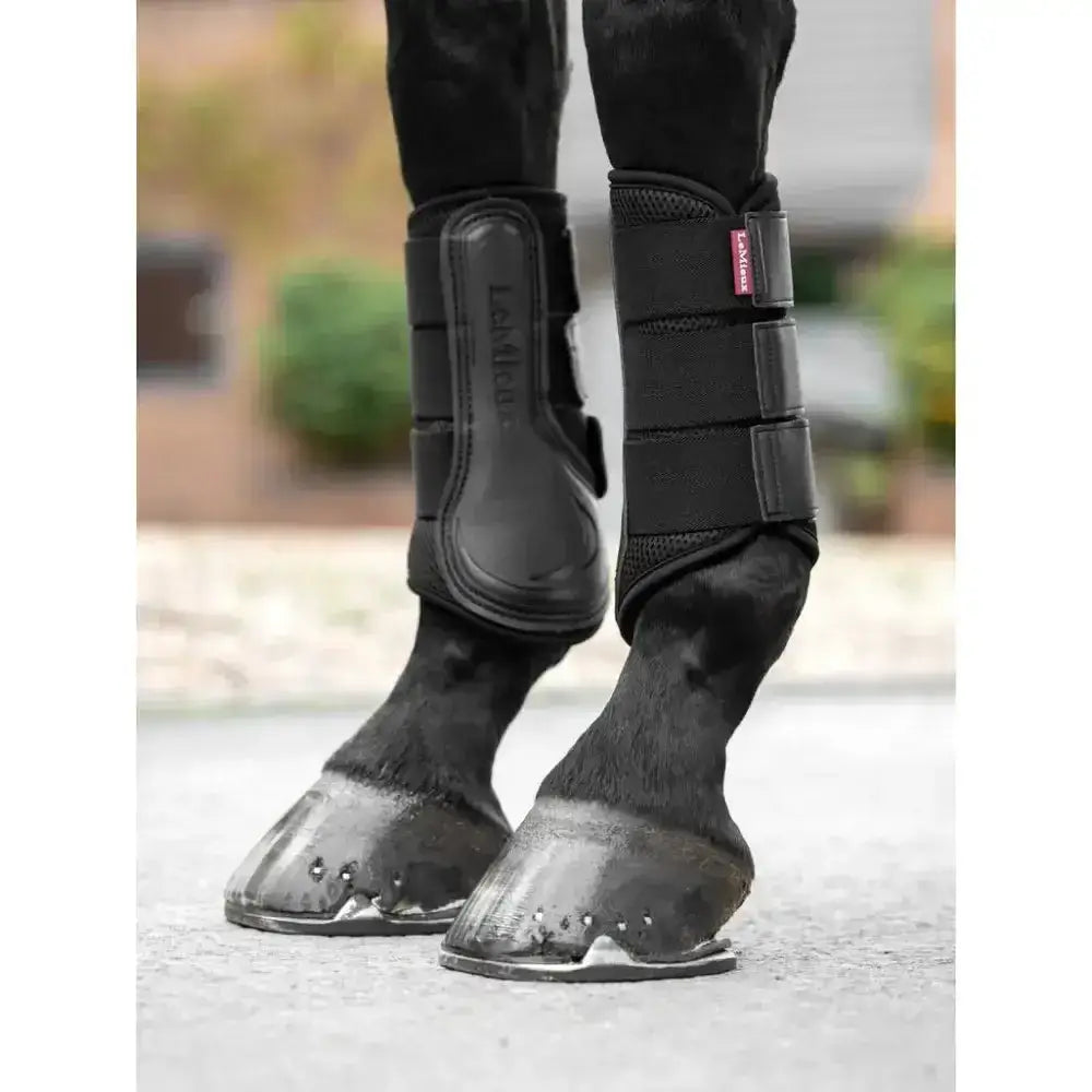 Black lemieux mesh brushing boot with adjustable straps and padded durable design for horse leg protection