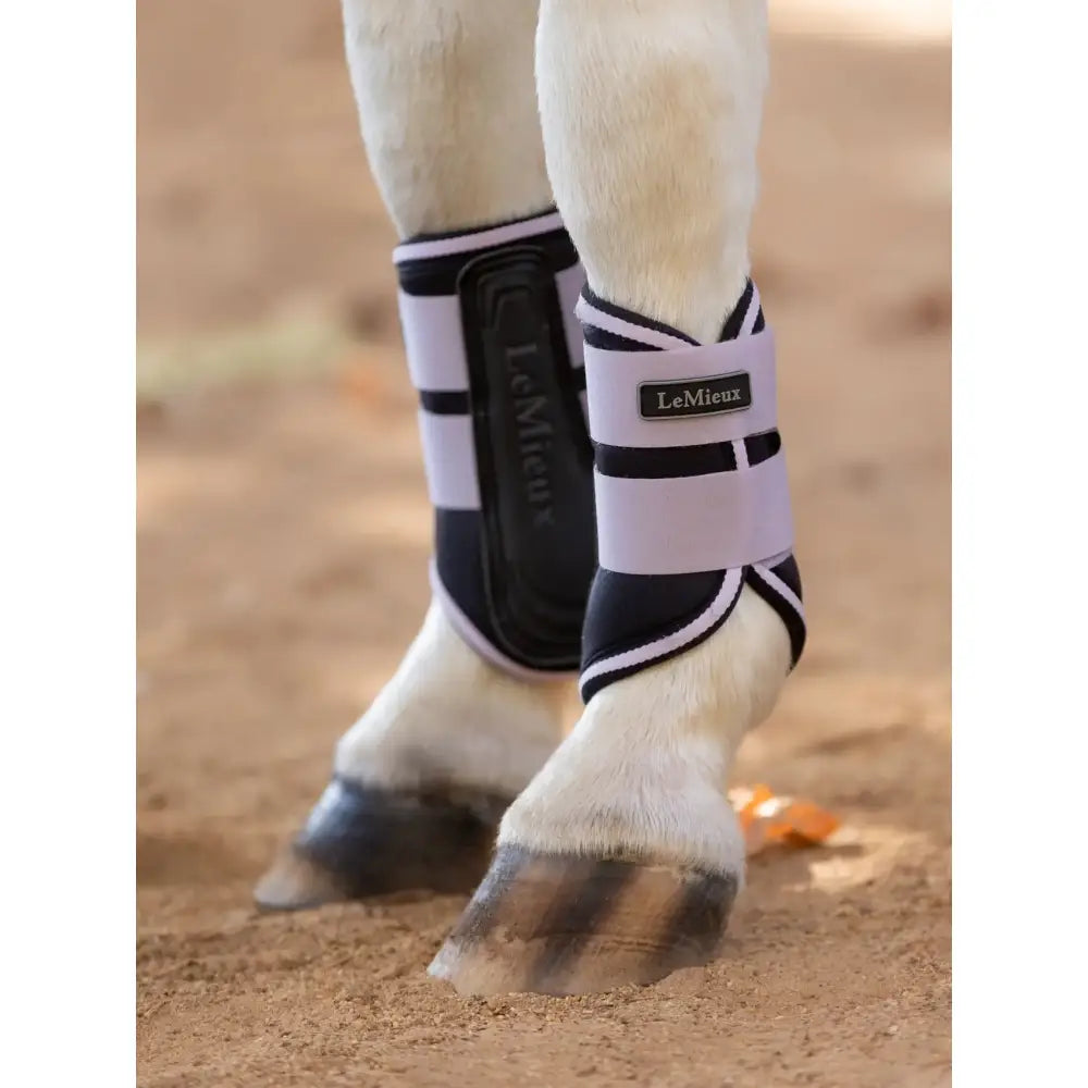 Black and white lemieux mini grafter horse ankle boots with elastic straps in lilac grafter brushing boots style