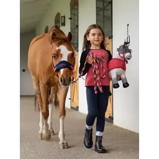 Lemieux Mini Jamie Chancer Long Sleeve Top Cranberry Cranberry 3-4 years T Shirts