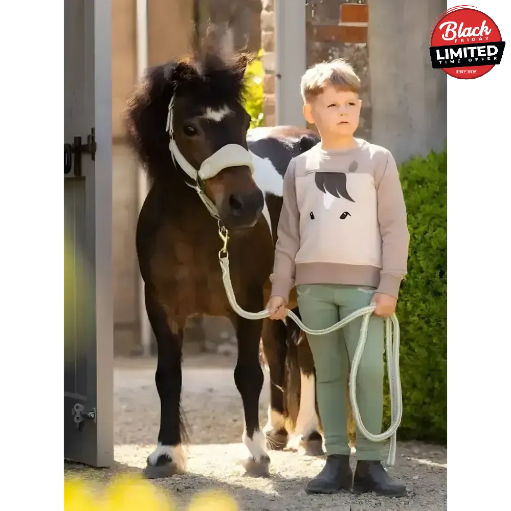 Lemieux Mini Pony Sweatshirt Stone 5-6 Years Jumpers & Hoodies