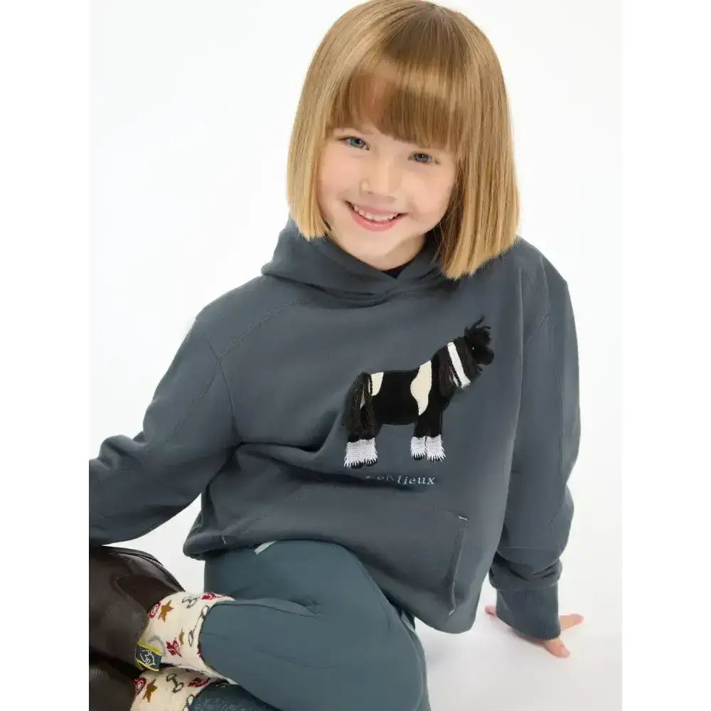 Gray hooded sweatshirt with black and white horse graphic front print lemieux mini romi hoodie petrol design