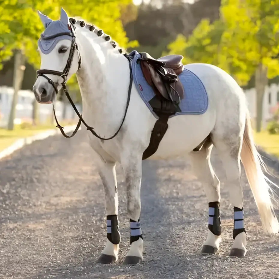 A white horse wearing lemieux mini suede saddle pad and protective gear in powder blue contact square powder style