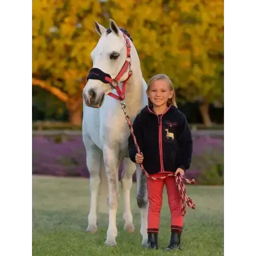 Lemieux Mini Teagan Dream Fleece Navy Navy 3-4 years Hoodies