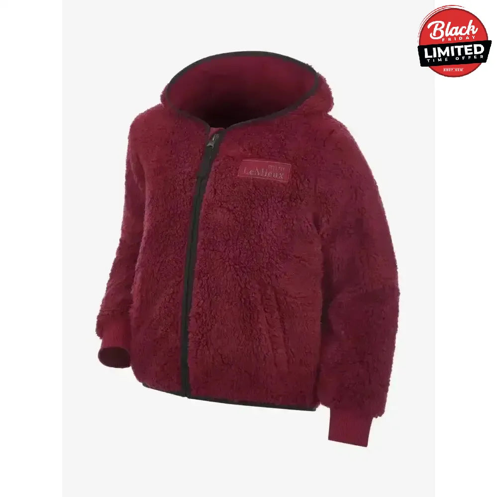 Lemieux Mini Teagan Fleece Ember 3-4 Years Ember Hoodies