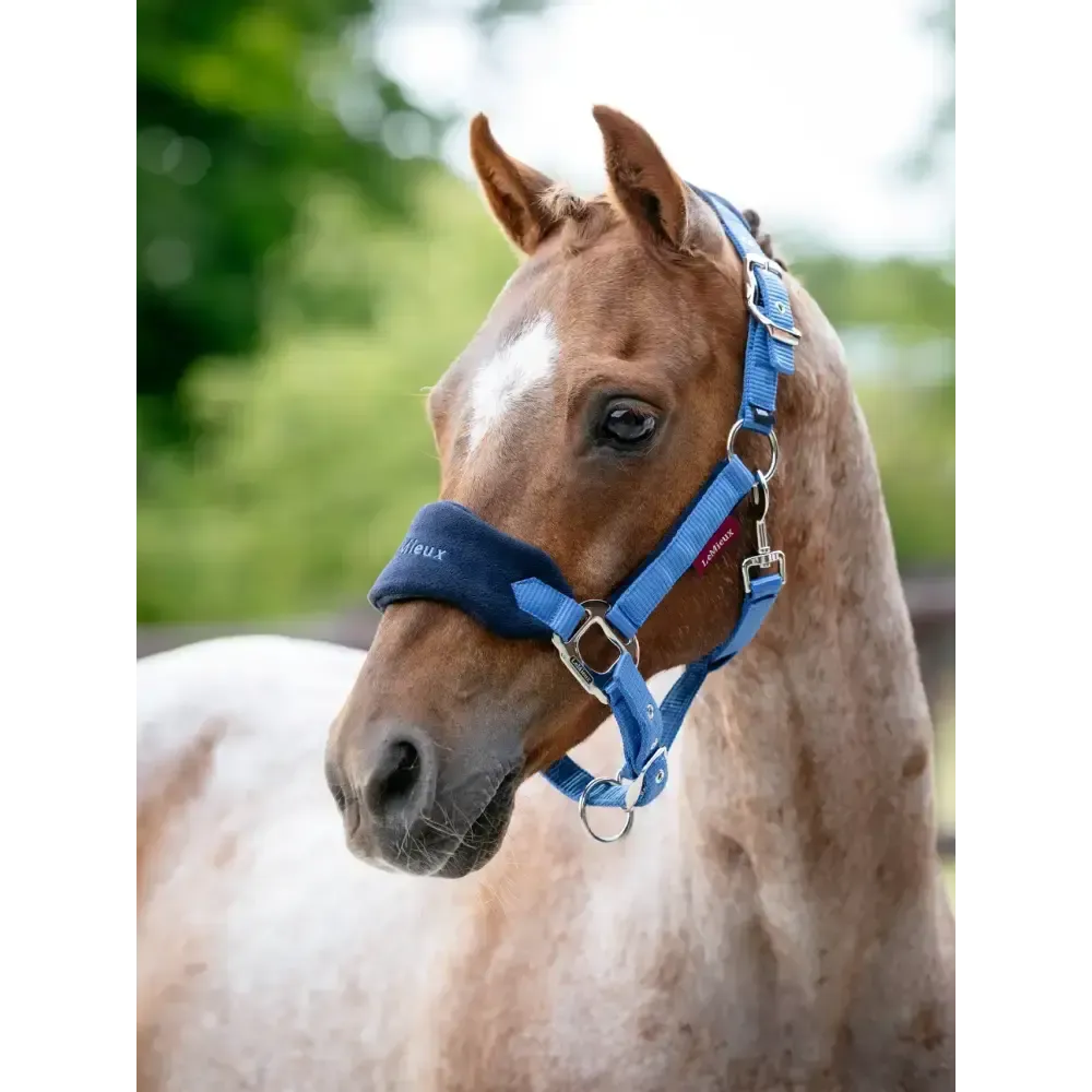 LeMieux Mini Vogue Headcollar & Leadrope Benetton Benetton Mini Headcollars