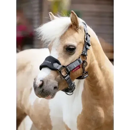 LeMieux Mini Vogue Headcollar & Leadrope Black Black Super Mini Headcollars