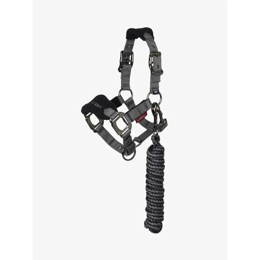 Gray and black lemieux mini vogue headcollar with adjustable straps metal buckles and leadrope black coiled leash attached