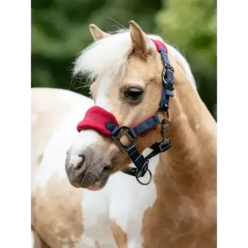 LeMieux Mini Vogue Headcollar & Leadrope Burgundy Burgundy Mini Headcollars