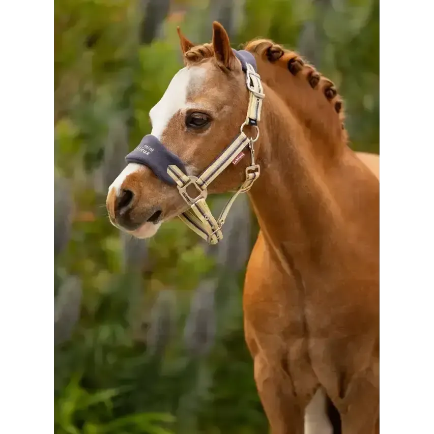 LeMieux Mini Vogue Headcollar & Leadrope Dusk Blue Headcollar Sets