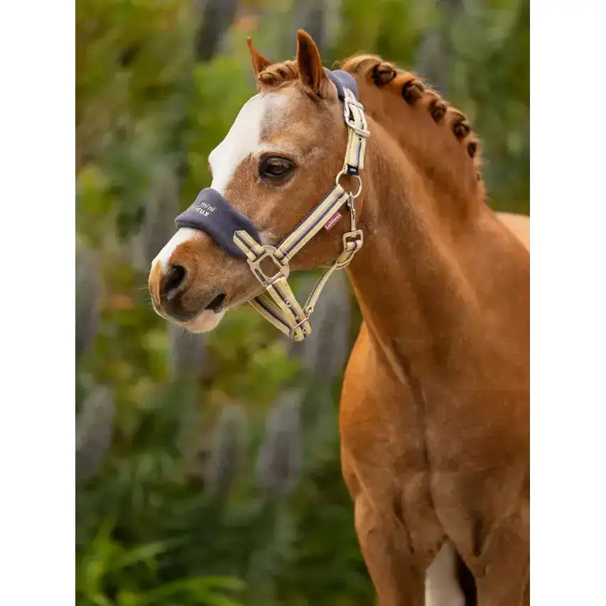 Lemieux mini vogue navy blue and cream horse halter with padded noseband and adjustable metal hardware from premium designer collection
