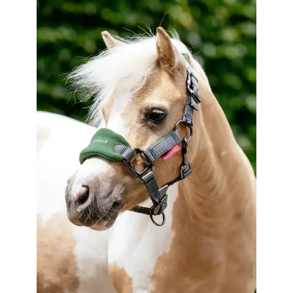 LeMieux Mini Vogue Headcollar & Leadrope Hunter Green Hunter Green Super Mini Headcollars