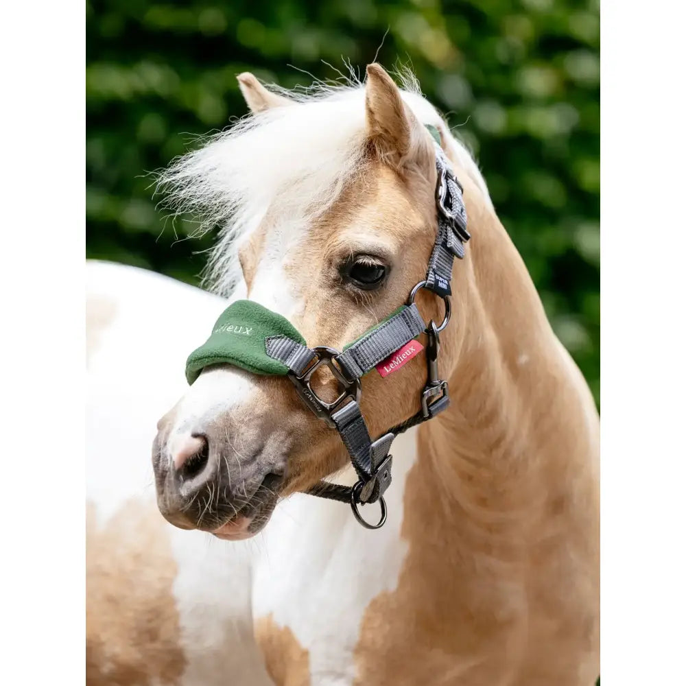 Lemieux mini vogue green and black horse halter with fleece inserts adjustable straps and leadrope hunter green