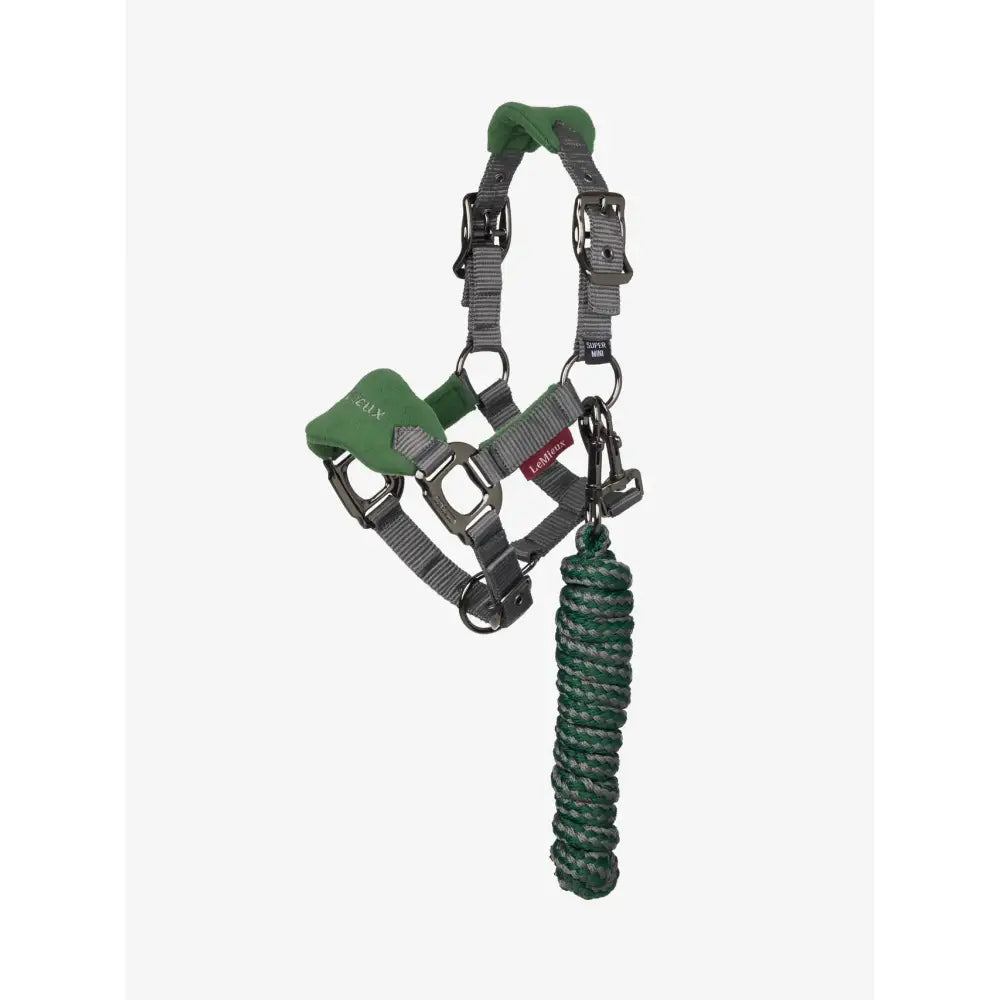 Lemieux mini vogue green and gray dog harness with fleece inserts and matching leadrope hunter green leash
