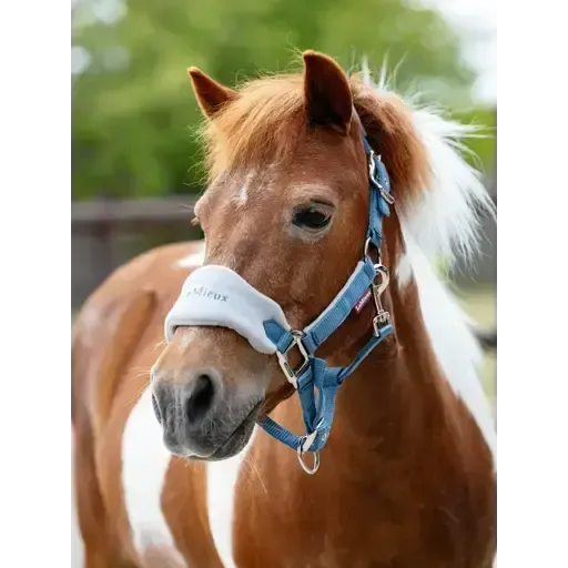 LeMieux Mini Vogue Headcollar & Leadrope Ice Blue Ice Blue Mini Headcollars
