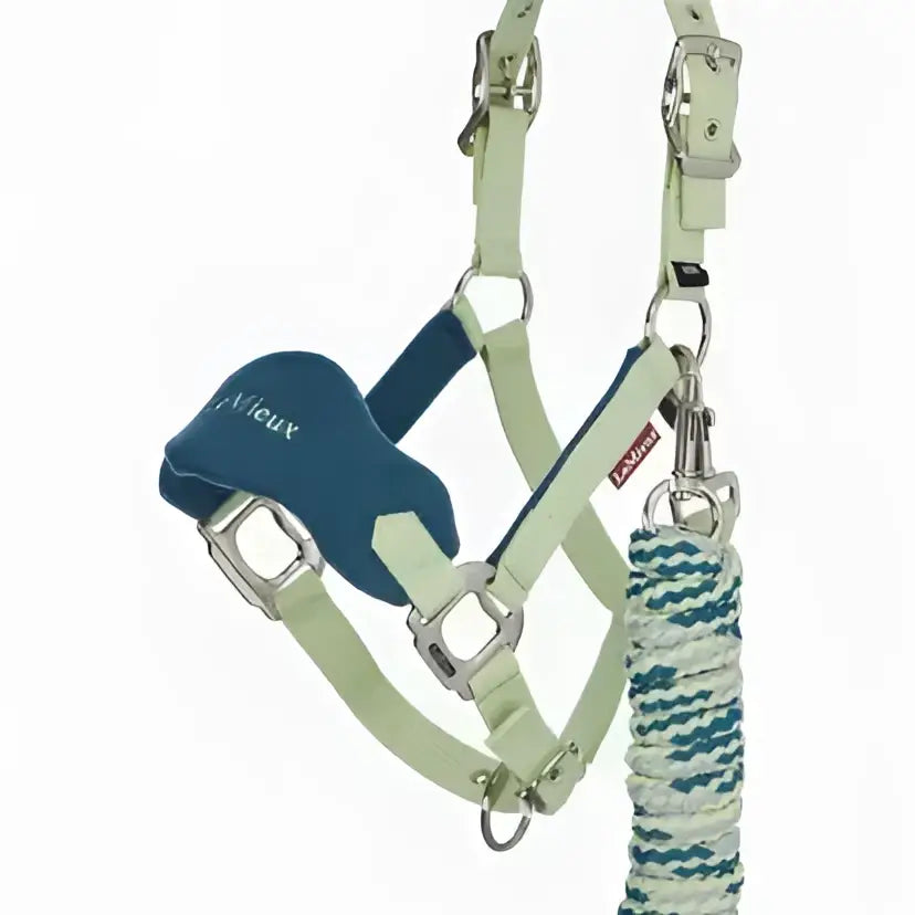 Light green and navy blue lemieux mini vogue leather horse halter with fleece inserts and leadrope macaron braided rope