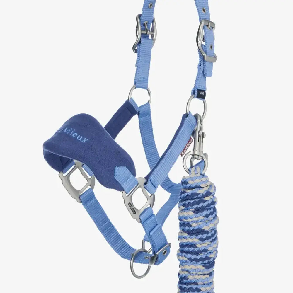 Light blue woven nylon lemieux mini vogue mini vogue headcollar with silver hardware and leadrope powder blue rope