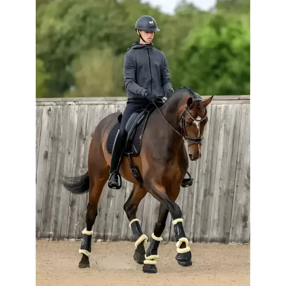 A dark brown horse wearing lemieux motionflex dressage boot rigid schooling boots with fleece edge black natural wraps