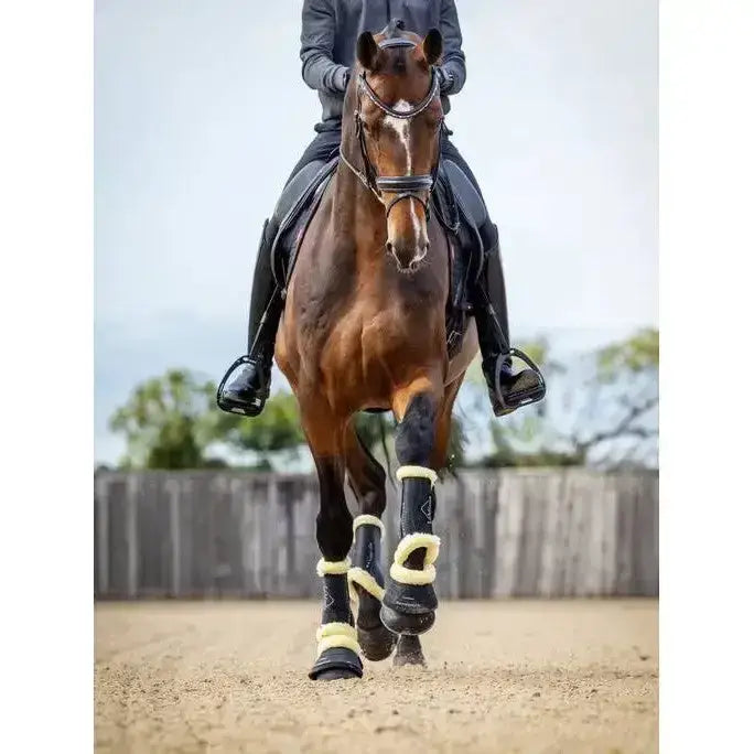 A dark brown horse wearing lemieux motionflex reach boots in fleece edge black with cream fleece trim on its legs