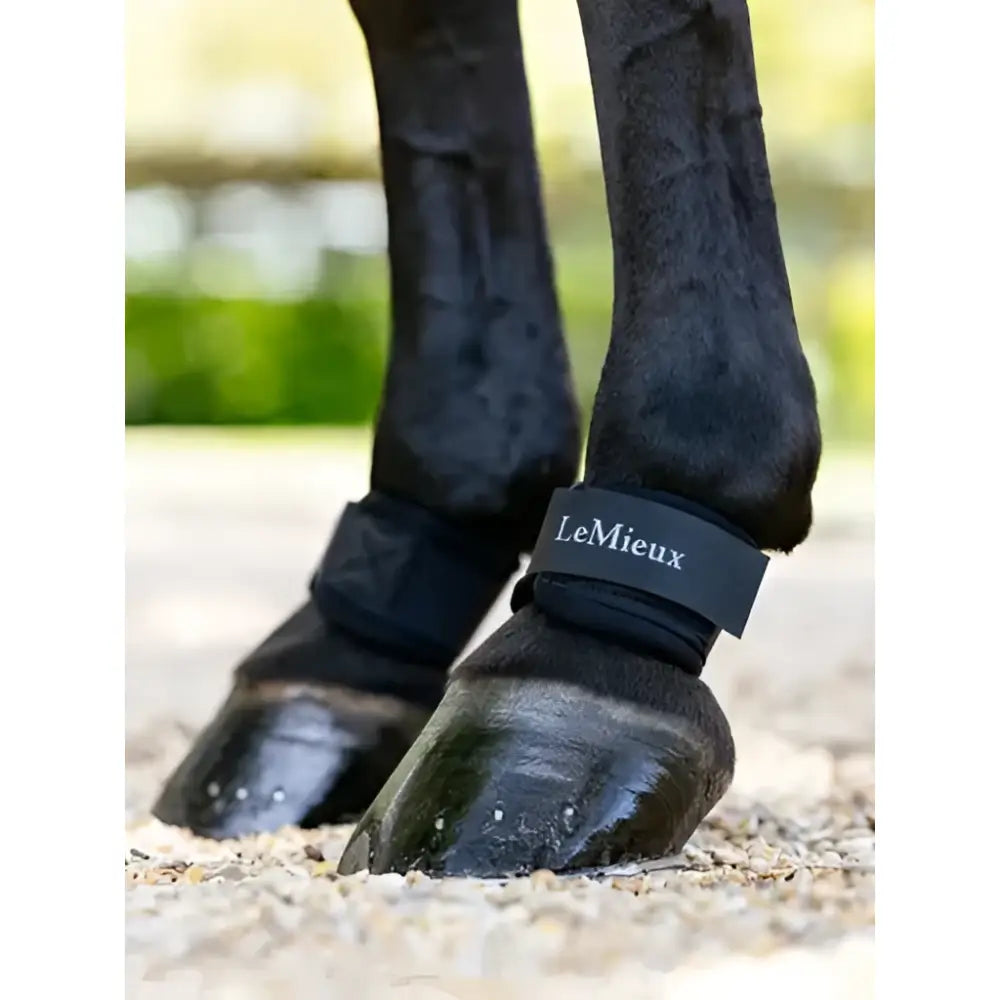 Black lemieux neoprene pastern wrap with a sleek glossy finish and snug fit perfect for pastern wrap black use