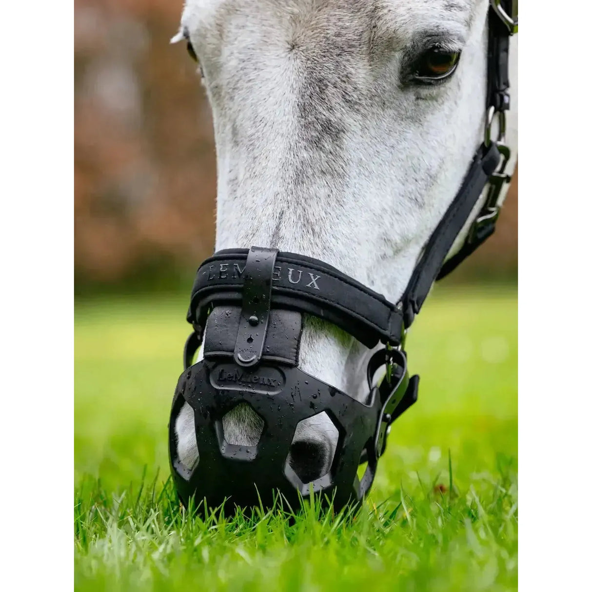 Lemieux Noma Grazing Muzzle Black Black Pony Grazing Muzzle