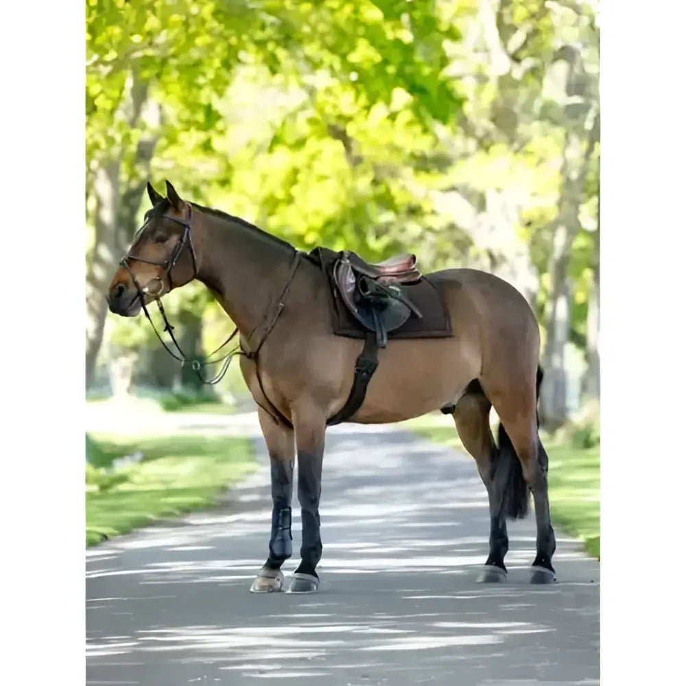 Brown horse with lemieux pillow pad brown and black saddle standing on a paved path showing lemieux pillow use
