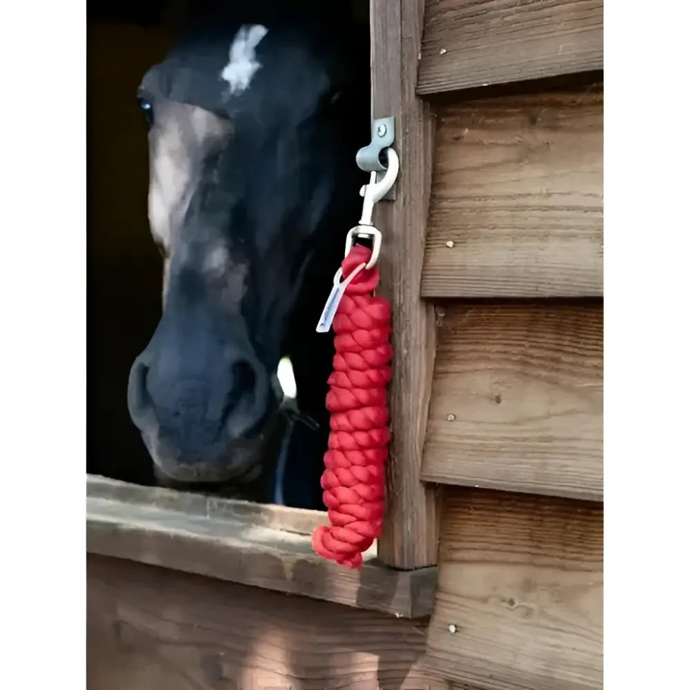 Red braided lemieux polycotton leadrope chilli with silver clip hanging from wooden stable door