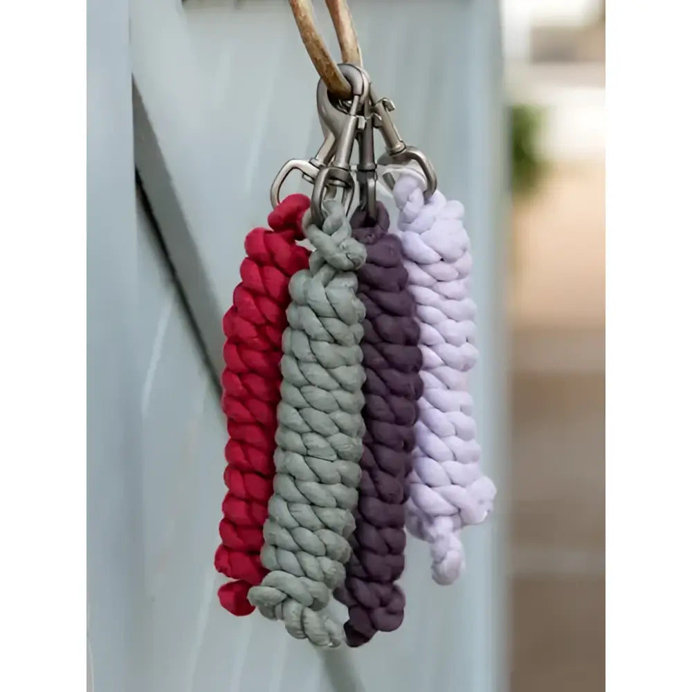 A set of lemieux polycotton leadrope keychains in cranberry red gray purple and light lavender braided rope design