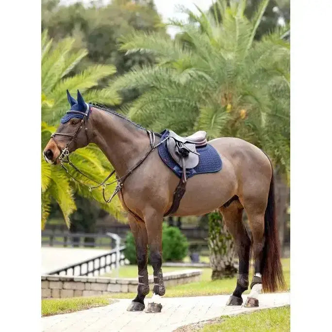 A sleek dark brown horse wearing a lemieux prosorb plain close contact square navy saddle pad with matching ear covers